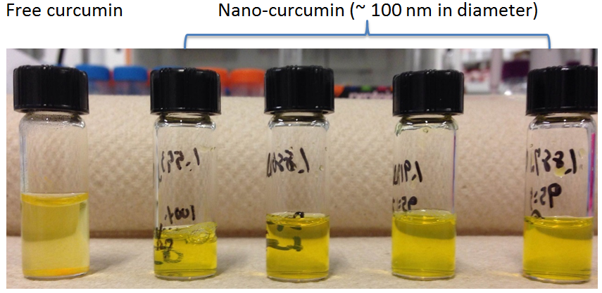 Solid Lipid Nanoparticle | Laboratory of Targeted Drug Delivery and ...