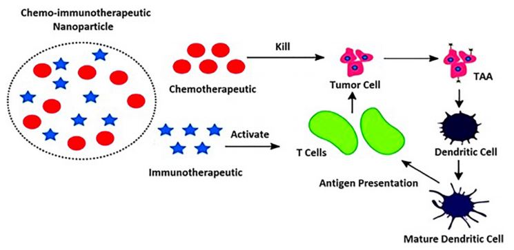 Publications | Laboratory of Targeted Drug Delivery and Nanomedicine