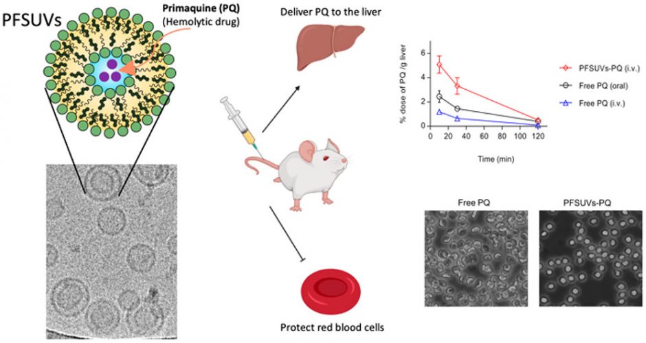 Publications | Laboratory of Targeted Drug Delivery and Nanomedicine